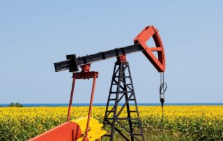 Valuing Mineral Rights